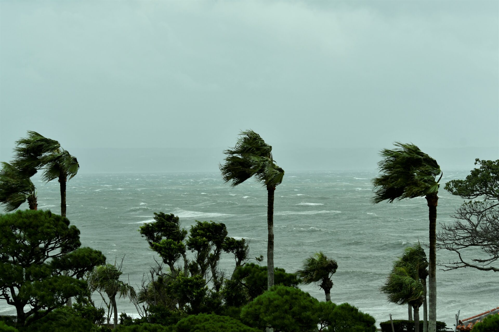 台風の災害
